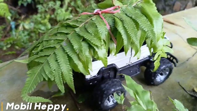 RC jeep bawa rumput habis ngarit #mobilmainan #mobilngarit