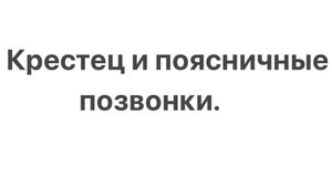 Строение крестца и поясничных позвонков.