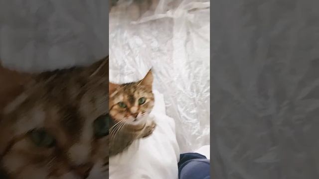 ксюша в шоке