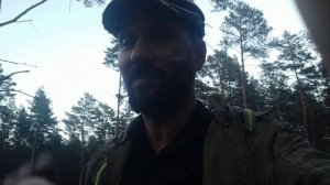 Сценарии нашей жизни. О чем поведал мухомор. Пишите в телеграмм https://t.me/Muhomar