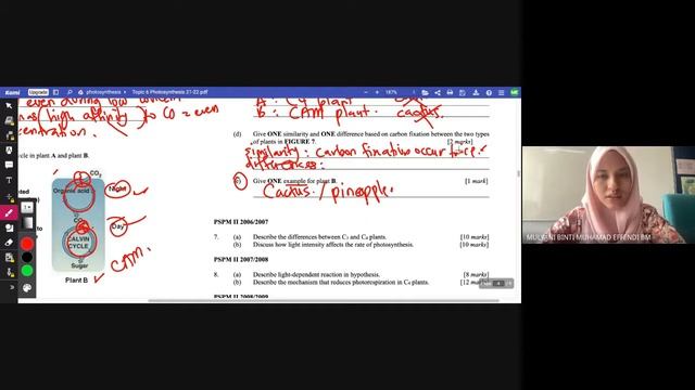 tuto mt12 14mac 9-10am смотреть онлайн