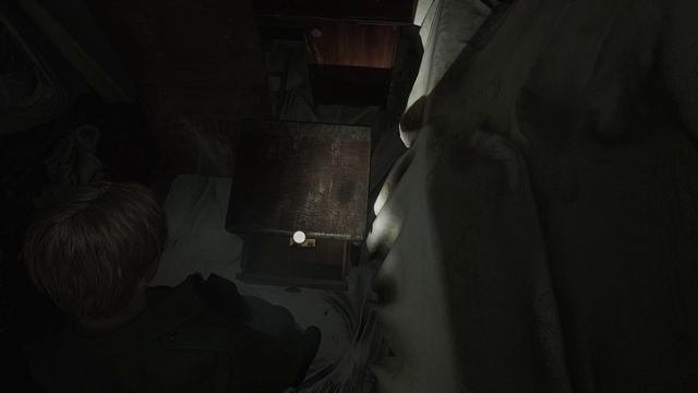 Silent Hill 2 Remake#8