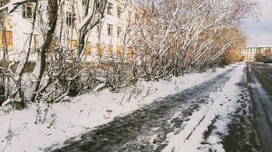 Воркута. 07.10.24. Поселок Северный.