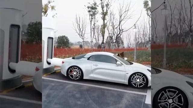 Apple Car | icar
