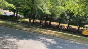 Водители школьного автобуса. США