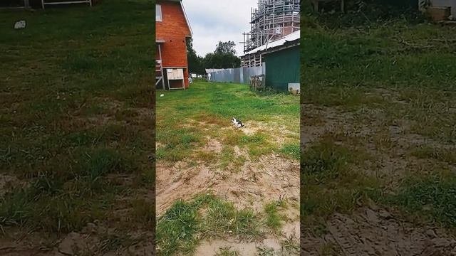 заныкал