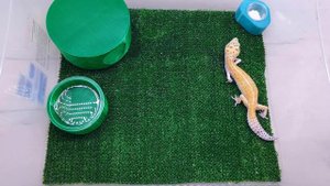 ВОТ ВЕДЬ КРАСОТА!) #АКВАМЕН #СВОИМИ_РУКАМИ