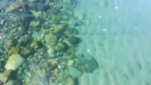 Тончайший и прозрачнейший лёд Байкала. Видно дно. Страшно ходить по льду.