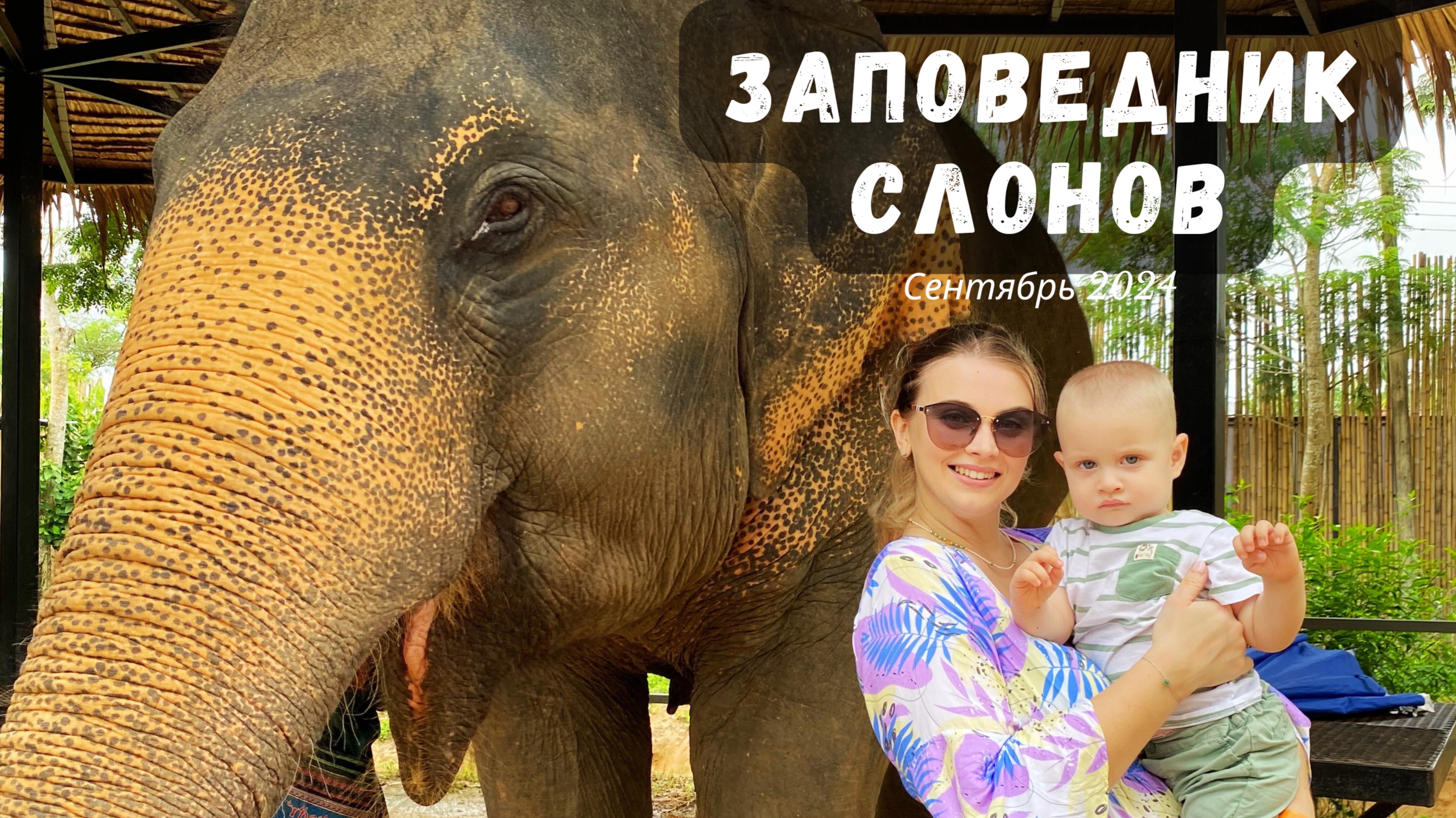 Заповедник слонов на Пхукете. Водопад Кату. Сентябрь 2024. Phuket vlog