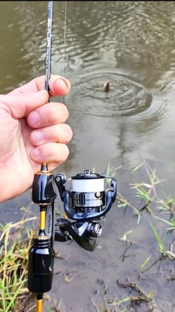 Окунь на мормышку 0.3 гр