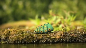 Minuscule - Love Apple