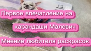 Первое впечатление на карандаши Малевич от любителя раскрасок
