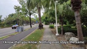 The Bee Gees - This Is Where I Came In(With Lyrics)