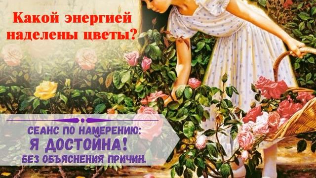 Как прийти к состоянию "Я достойна! Без объяснения причин." Какую энергию цветы дарят людям?