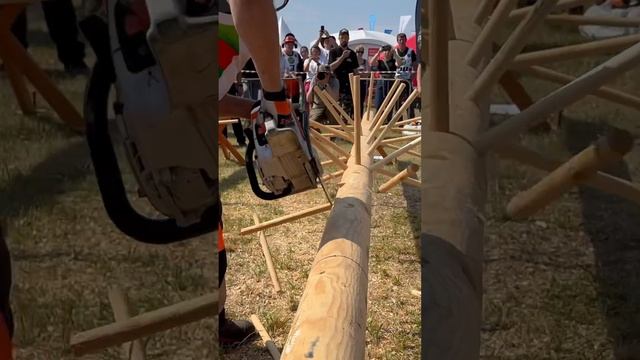 Обрезка сучьев на время #stihl #husqvarna #zimani