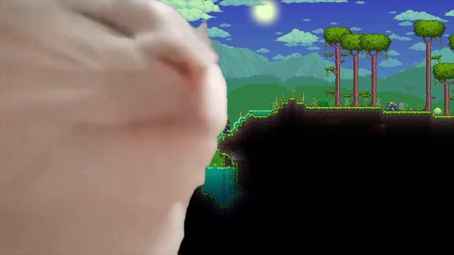 Terraria but it's an old video смотреть онлайн