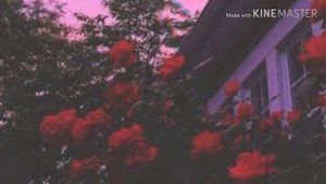 Fighter-Jack Stauber/Lyrics