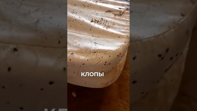 Жуткая квартира. Как здесь жить?
