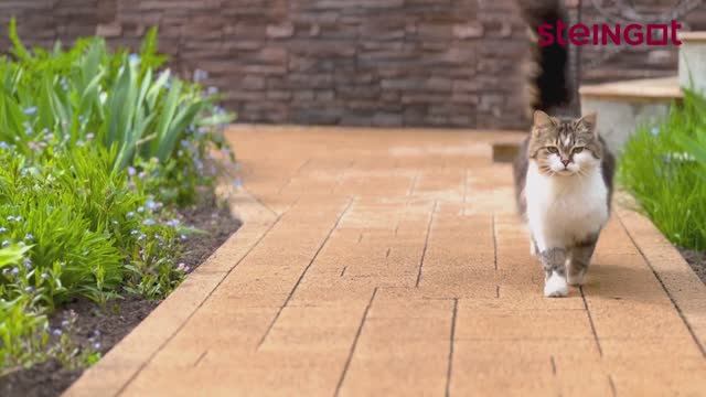 Steingot - тротуарная плитка, которую любят даже коты смотреть онлайн