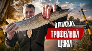 ОСЕННЯЯ РЫБАЛКА НА ЩУКУ НА РЕКАХ ЯМАЛА