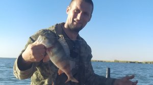 Трофей пойман.Рыбалка на реке Маныч, наловили окуня.