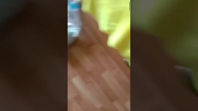 дочь посмотрела сейлор мун