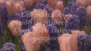 Христос воскрес! - Anelle