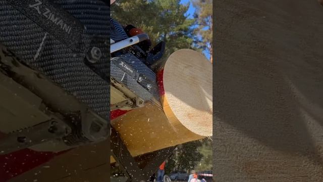 Молодой спортсмен с бензопилой ZimAni #stihl #husqvarna #zimani