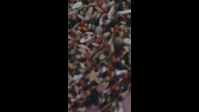 Видео друзей смотреть онлайн