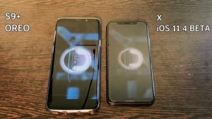 iPhone X iOS 11.4 Vs Galaxy S9 Plus Speedtest
