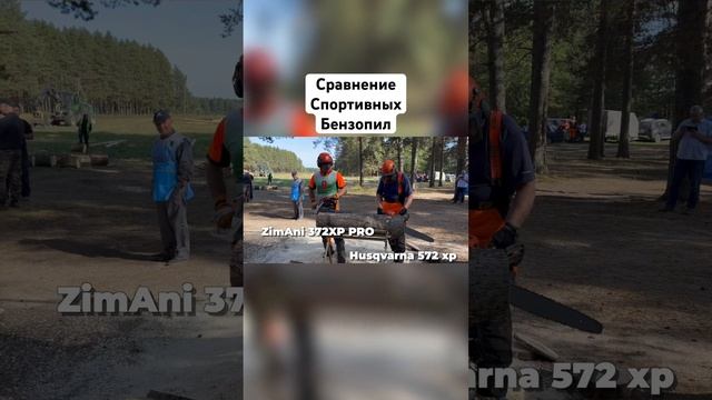 Сравнение спортивных бензопил ZimAni vs Husqvarna #zimani #husqvarna #stihl