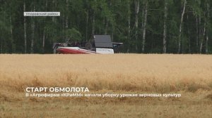 В «Агрофирме «КРиММ» начали уборку урожая