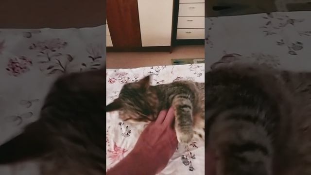 Ксения Анатольевна покусывает от удовольствия