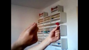 видео друзей