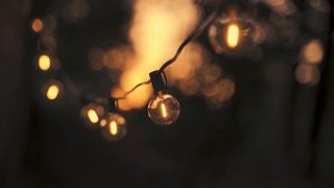 6922854-uhd_3840_2160_25fps