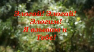 Мой Бог (Элогай)