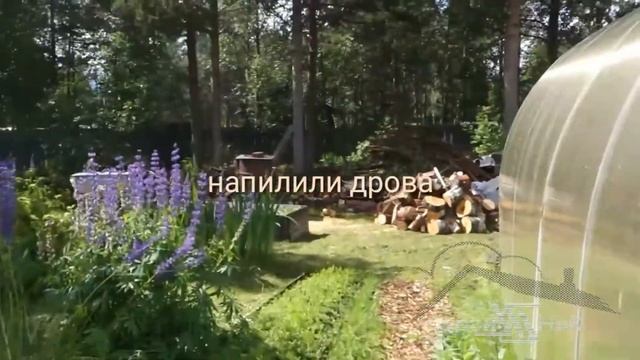 Заехали на чай))) смотреть онлайн