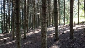 Мой рейтинг самых красивых природных мест в Кисловодске.