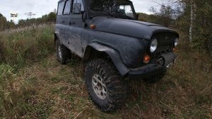 Осень 2024. В глубинке Костромской области. Пустоши за рекой Туткой.