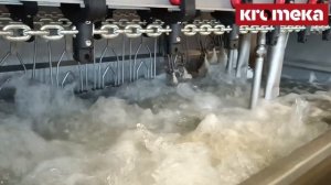 Решения Kromeka для убоя родительского стада или кур несушек от 500 до 1 500 голов в час.