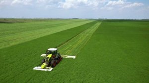 CLAAS AXION 960TT mowing Alfalfa Minnesota USA 2023, OXBO 2340 mergers and CLAAS JAGUAR 990
