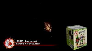Фейерверк на 36 залпов «Выживший» Red Fox D7085
