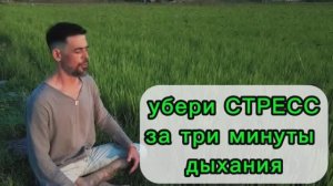 Убери стресс за три минуты