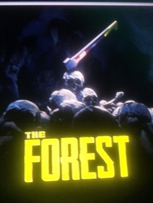 как я играл в The Forest