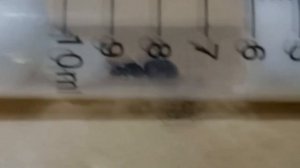 КОЛОНИЯ МУРАВЬЕВ С НУЛЯ. ЦИКЛ ЖИЗНИ МУРАВЬЕВ. THE ANT COLONY FROM SCRATCH. THE LIFE CYCLE OF ANTS.