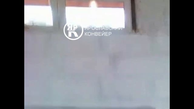 Транспортёр ТСН