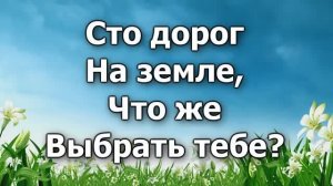 Сто дорог на земле