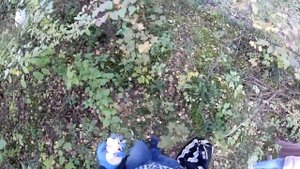 Собираем грибы в Кисловодске.