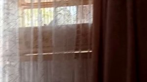 Видео друзей