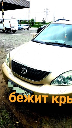 Lexus rx 300 бежит крыша устраняем (2)